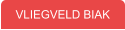 VLIEGVELD BIAK