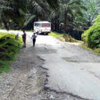 De weg naar Bukit lawang