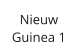 Nieuw  Guinea 1