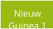 Nieuw  Guinea 1