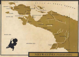 Nederlands Nieuw Guinea
